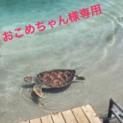 リトルタイクス 滑り台 引取り限定神奈川県のサムネイル