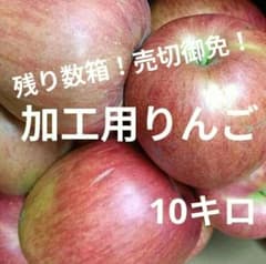 ✨️りんご訳あり加工用✨️箱込み10キロ以上！のサムネイル