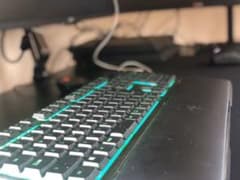 Razer Ornata JPのサムネイル