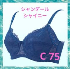 新品未使用✨シャンデール高級補正下着✨シャイニーブラジャー✨C75