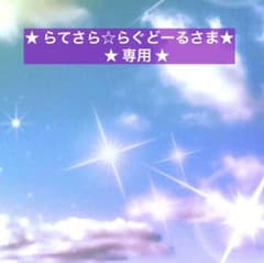 ★ らてさら☆らぐどーるさま・専用 ★ 生花etcのサムネイル
