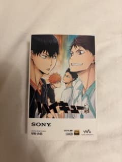 SONY ウォークマン NW-A45 劇場版ハイキューコラボ SONY ウォークマン NW-A45 劇場版ハイキューコラボ - メルカリ