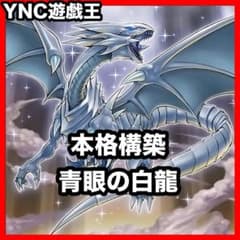 大会優勝構築 青眼の白龍 デッキ 本格構築済みデッキ 聖王の粉砕 蒼の深淵 青眼の白龍 デッキ 本格構築済みデッキ 遊戯王 白き幻獣 青眼の究極霊