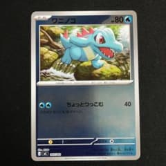 ワニノコ ミラー仕様 mC 165/742