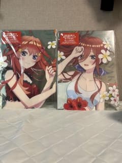 五等分の花嫁　中野三玖、中野五月　A3アクリルボード　2枚セット