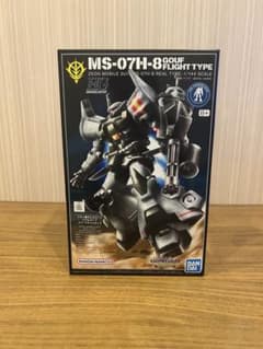 【未組立】HG 1/144 グフ・フライトタイプ 21stCENTURYのサムネイル