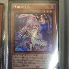 浮幽さくらシクのサムネイル