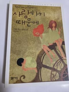 韓国語小説 ギヨーム・ミュッソ 사랑하기 때문에 기욤 뮈소 소설のサムネイル