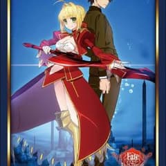Fate 카드 슬리브