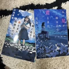 汐見夏衛 君とまた出会いたい。 あの星が降る丘で、 2冊セットのサムネイル
