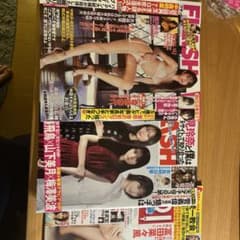 FLASH 等々の雑誌類のサムネイル