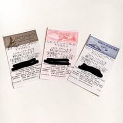 TDL サプライズチケットのサムネイル