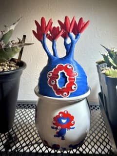 マ*ー様 LOBINDON ロビンドン ミャクミャク グラキリスとミャクミャク鉢 m85288764565_1.jpg?1763607512