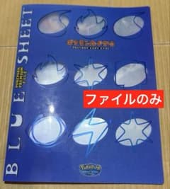 ポケパーク プレミアムファイル ブルー ファイルのみ - メルカリ