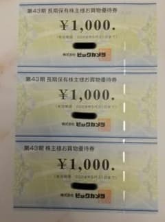 ビックカメラ株主優待券３０００円分のサムネイル