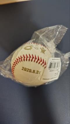 記念野球 2025.8.31のサムネイル