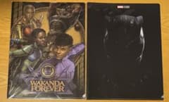 MARVEL ブラックパンサー ワカンダフォーエバー クリアファイルセット