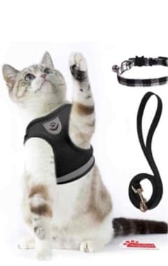リード 猫用2つセットのサムネイル