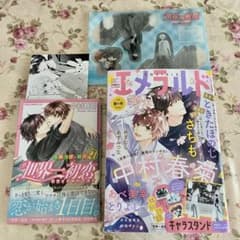 世界一初恋 21巻 通常版 エメラルド2026年春の号 キャラスタンド付き