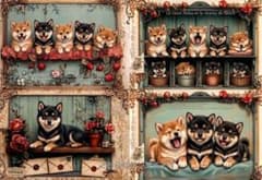 激レア柴犬パネル生地　ハンドメイド 犬 ハガキ 柴犬 パネル生地 - メルカリ