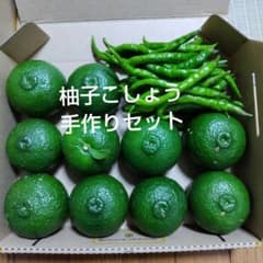 ③青ゆず 青唐辛子 柚子ごしょう手作りセットのサムネイル