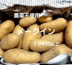 新じゃがいも　メークイン　農薬不使用のサムネイル