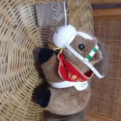 ミホノブルボン　日本ダービーのサムネイル