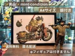 m85308862023_1.jpg?1765533991