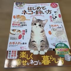 はじめてのネコの飼い方 for Beginners