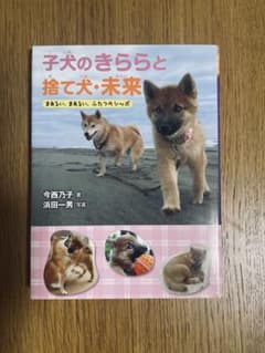 子犬のきららと捨て犬・未来 今西乃子のサムネイル