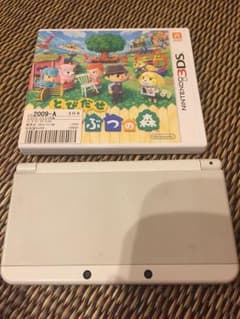 New 3DS &飛び出せどうぶつの森のサムネイル