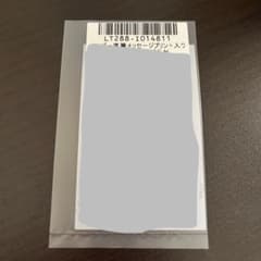 【非売品】リアルアキバボーイズ RAB ネス チェキ風ブロマイドのサムネイル