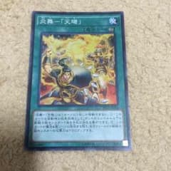 サラ子様専用のサムネイル