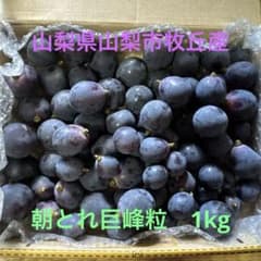 え*ち様 新鮮 朝とれ巨峰粒 1kg 山梨県山梨市牧丘産のサムネイル