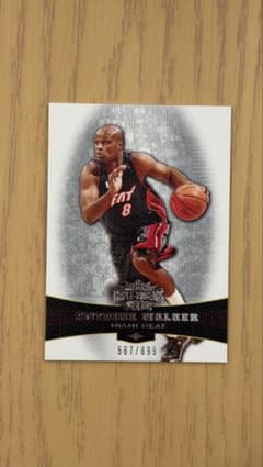 Antoine Walker 2007 Triple Threads /899のサムネイル