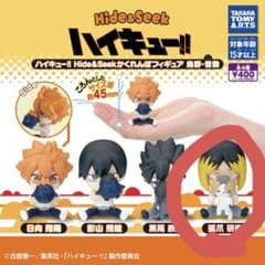 ハイキュー　ハイドアンドシーク 孤爪研磨のサムネイル