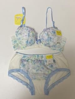 ブラジャー ショーツのサムネイル