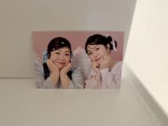 紅しょうが　稲田美紀　熊元プロレス　S Cawaii!のサムネイル