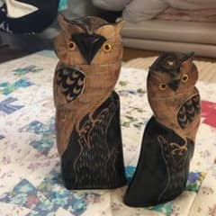 本水牛 フクロウ親子のサムネイル