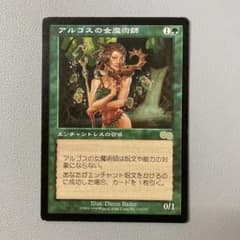 MTG USG アルゴスの女魔術師 日本語 1枚 - メルカリ