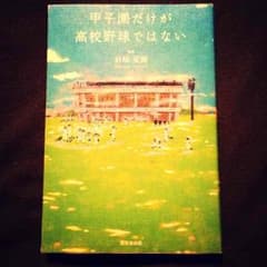 甲子園だけが高校野球ではないのサムネイル