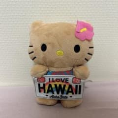Hello Kitty ハワイ限定 ぬいぐるみのサムネイル