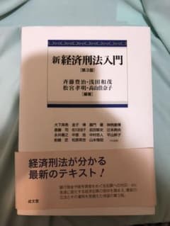 新経済刑法入門 第3版のサムネイル