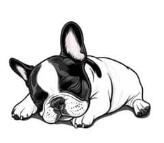 アイロン転写シート セット 犬 テディベア - メルカリ