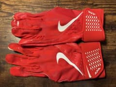 Nike Alpha ナイキアルファ　バッティンググローブ　Mサイズのサムネイル