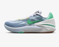 Nike Air Zoom GT Cut 2のサムネイル