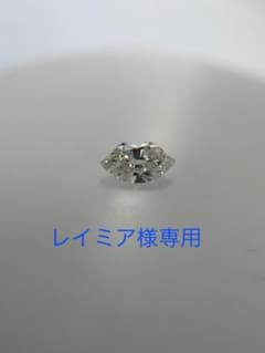 レイミア様専用他の方はご入札をお控え下さい。のサムネイル