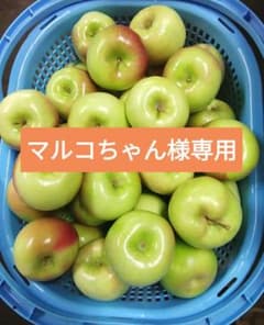 マルコちゃん様専用のサムネイル