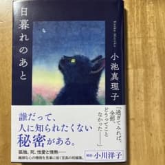 【めいさん専用】日暮れのあと 小池真理子【文庫本】のサムネイル