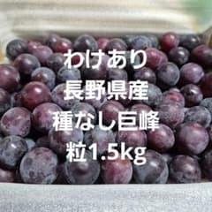 わけあり長野県産種なし巨峰粒1.5kgのサムネイル
